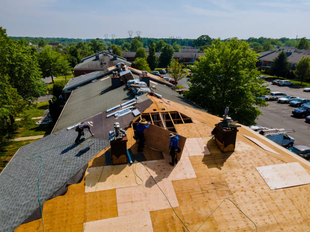 Trusted Roof Replacement service in New Castle, DE - Brentwood Metal Roofing